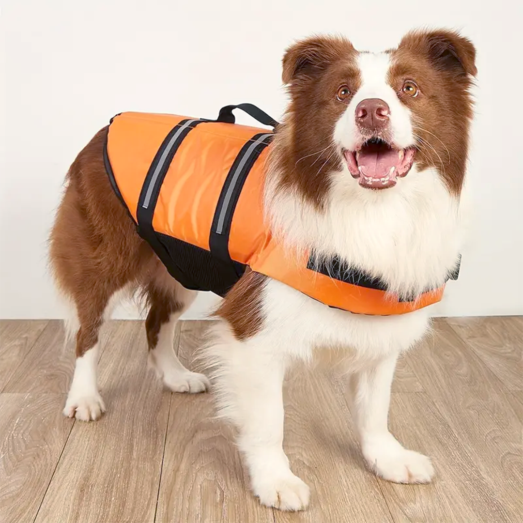 Kochi Pets Pet Life Vest Orange L