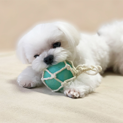 Doggyman Latex Dog Toy w Cotton Rope - Ball