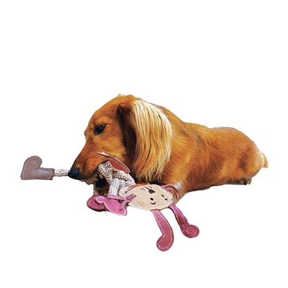 Doggyman Leather Dental Care Toy - Rabbit