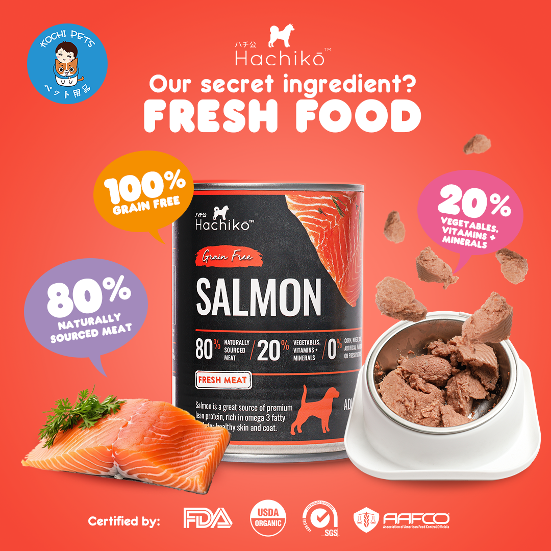 Hachiko Salmon Canned Wet Dog Food (Grain Free)